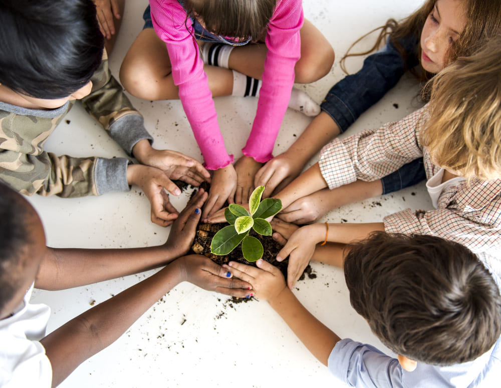 Crianças plantando muda em atividade de educação ambiental sobre a COP 30.